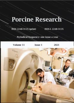Porcine Research