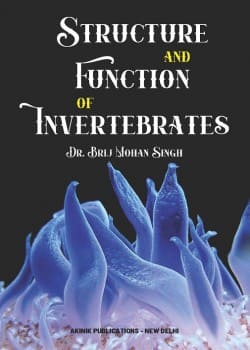 Structure and Function of Invertebrates