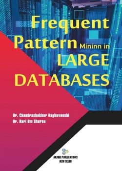 Frequent Pattern Mining in Large Databases