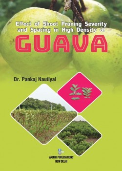 Effect of Shoot Pruning Severity and Spacing in High Density of Guava (Psidium guajava L.) cv. Pant Prabhat