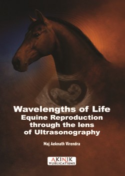 Wavelengths of Life: Equine Reproduction through the lens of Ultrasonography