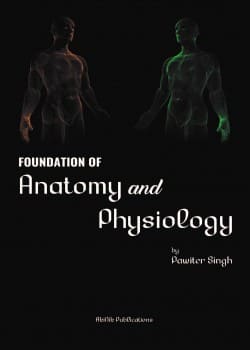 Foundation of Anatomy and Physiology