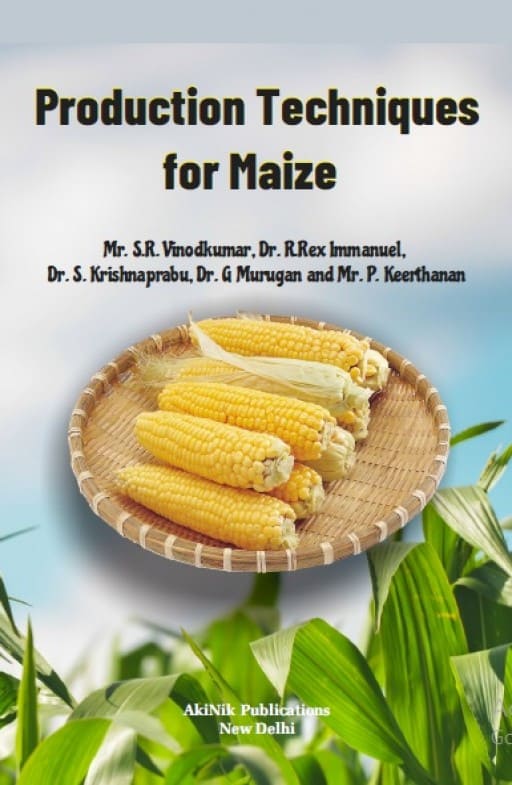 Production Techniques for Maize