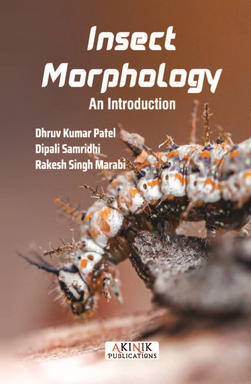 Insect Morphology: An Introduction