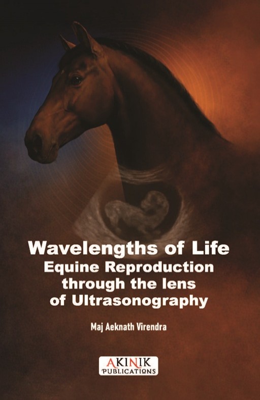 Wavelengths of Life: Equine Reproduction through the lens of Ultrasonography