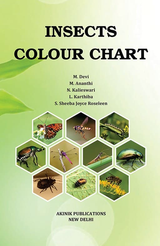 Insects Colour Chart